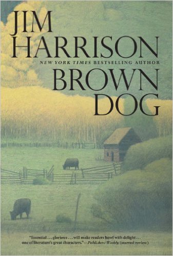 Novel Review- Brown Dog