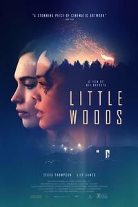 Stu’s Reviews #390- Film – “Little Woods”