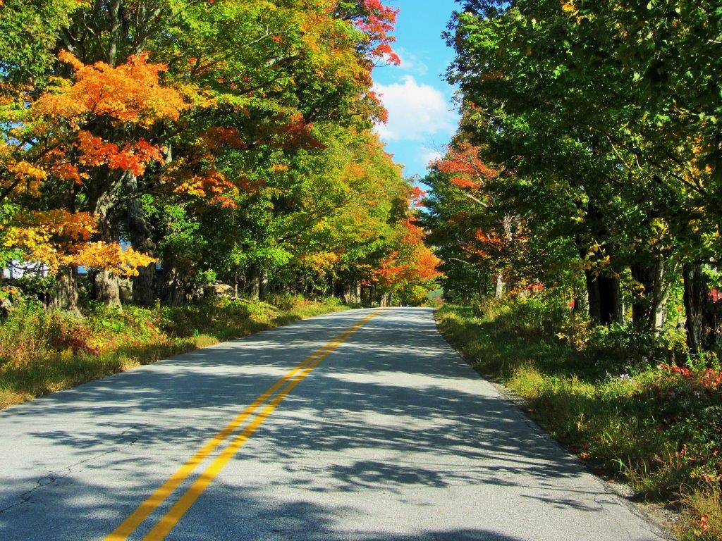 Winds of Change in Autumn Mountains