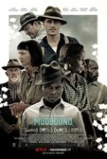 Stu’s Reviews- #526- Film- ” Mudbound”