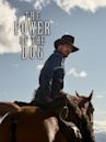 Stu’s Reviews- #613- Film – “The Power of the Dog” (on Netflix now)