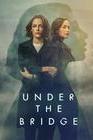 Stu’s Reviews- #833- TV Series – “Under the Bridge”- Hulu -1 Season